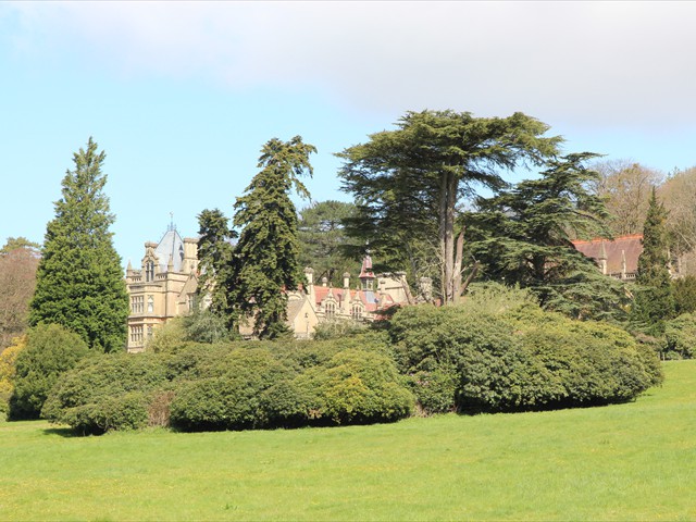 Tyntesfield - Stands in magnificent parkland